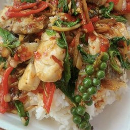 ผัดฉ่าปลา,กดคังราดข้าว