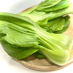 กวางตุ้ง