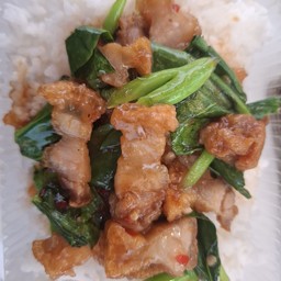 ข้าวคะน้าหมูกรอบ