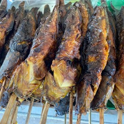 ปลาดุกย่าง ไซส์กลาง