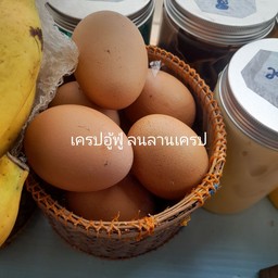 ไข่ไก่