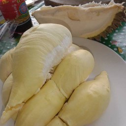 ทุเรียนหมอนทอง ตลาดอยู่สอาด