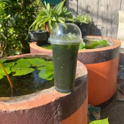 ชาเขียวดำ