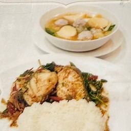 ข้าว+ปลากระพงผัดฉ่า+แกงจืดเต้าหู้หมูสับ