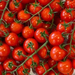 มะเขือเทศเชอร์รี่ญี่ปุ่นติดก้าน 200g.