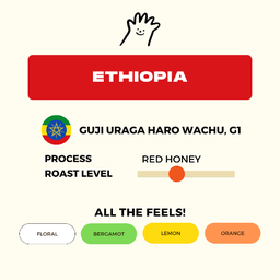 ETHIOPIA, GUJI URAGA G1