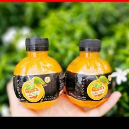 น้ำส้มเดอะโชกุน 220 ML ขวดล่ะ10 บาท