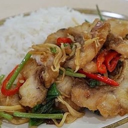 เนื้อปลากะผงผัดคื่นช่ายราดข้าว