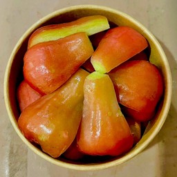 ชมพู่ทับทิมจันทร์พร้อมทาน