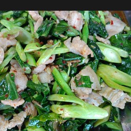 ผัดคะน้าน้ำมันหอยหมูสามชั้น/หรือหมูสับ