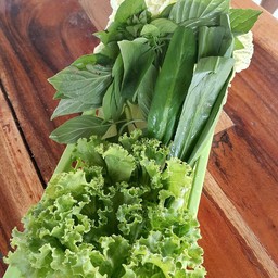 ชุดรวมผัก