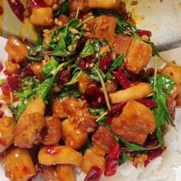 บ้านกระเพรา&ข้าวไข่เจียว สาขา1