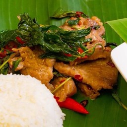 ข้าวราดกะเพราหมู