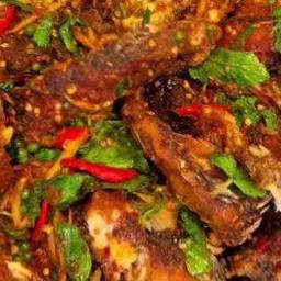 ผัดเผ็ดปลานิลทอดราดข้าว