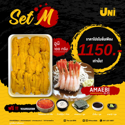 SET M