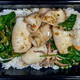 ข้าวปลาหมึกผัดใบโหระพา