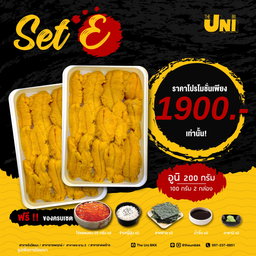 Set E