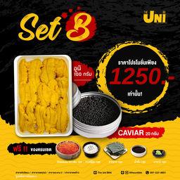SET B