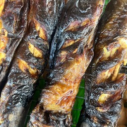 ปลาดุกย่างแห้งๆ