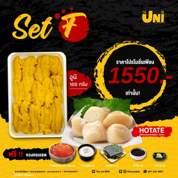 SET F