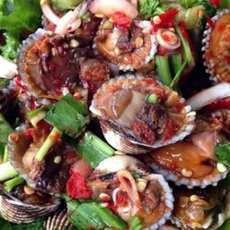 ส้มตำ/ยำหอยแครง