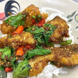 ข้าวปลากระพงผัดกระเพราพริกแห้ง