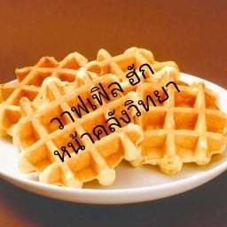 วาฟเฟิล ฮัก หน้าคลังวิทยา