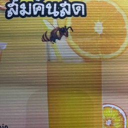 ส้มปั่น