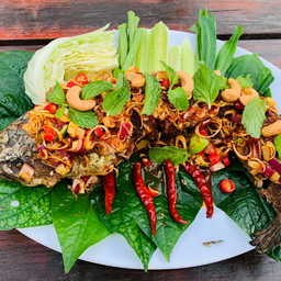 ปลาช่อนลุยสวน