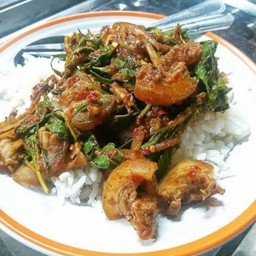 ข้าวหมูป่าผัดกระเพรา