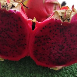 แก้วมังกรเนื้อแดงปั่น red dragon fruit