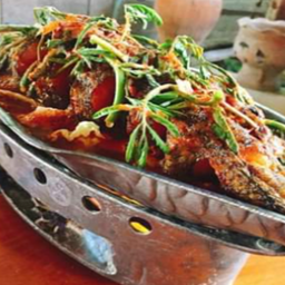 แป๊ะซะปลาช่อน