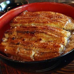 ปลาไหล ด้ง