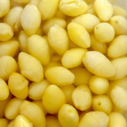 แปะก๊วย