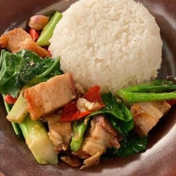 คะน้าหมูกรอบ ราดข้าว
