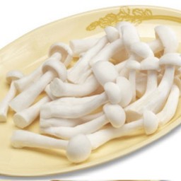 เห็ดชิเมจิ | Shimeji Mushroom