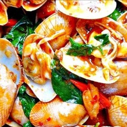 หอยลายพริกเผา