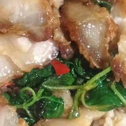 ข้าวกระเพราหมูกรอบ