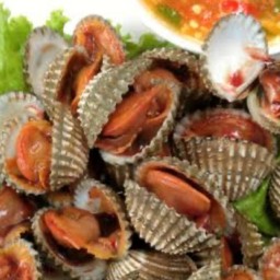 หอยแครงลวก