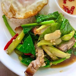 ข้าว+ผัดคะน้าน้ำมันหอย