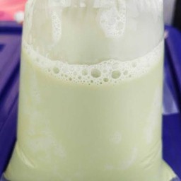 เต้าหู้นมสดชาเขียวเย็น