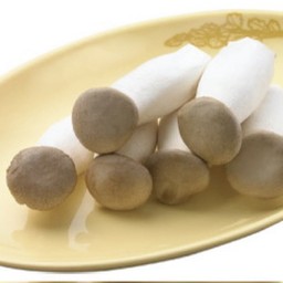 เห็ดออริจิ (เห็ดนางรมหลวง) | King of Oyster Mushroom