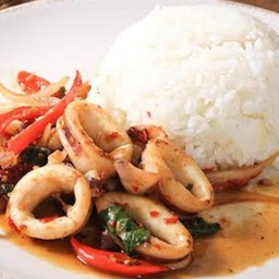 ข้าวราดกระเพราปลาหมึก+ไข่ดาว