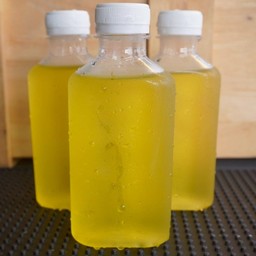 เก๊กฮวยเย็น