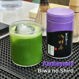 Kanbayashi BIWA NO SHIRO (Clear Matcha)