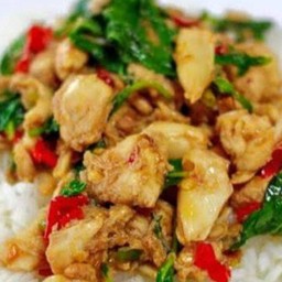 กระเพราไก่ - ราดข้าว