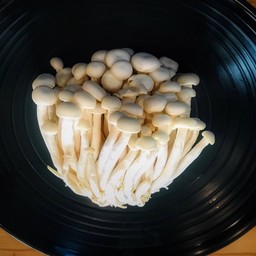 เห็ดชิเมจิขาว