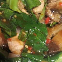 ข้าวคะน้าหมูกรอบ