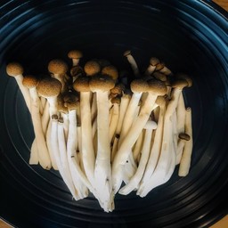 เห็ดหิมะดำ