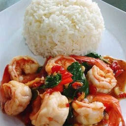 กระเพรากุ้ง